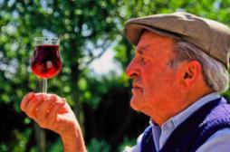 Vin rouge : le resvératrol sans effet miraculeux sur la santé